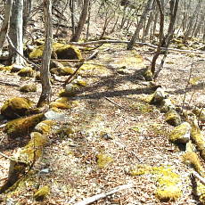 190505_p29.jpg