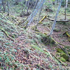 201004_p44.jpg
