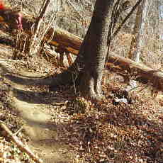 201220_p15.jpg
