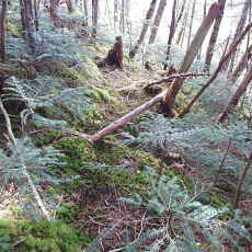 210930_p13.jpg