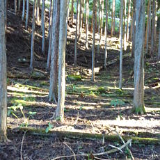 211020_p06.jpg