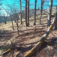 221127_p03.jpg