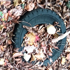 231030_p35.jpg