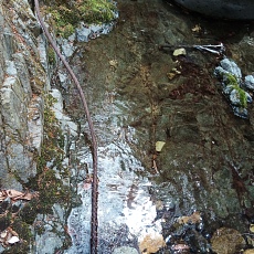 230502_p42.jpg
