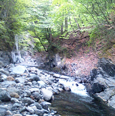 130526_p31.jpg