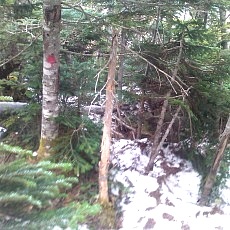 130606_p16.jpg
