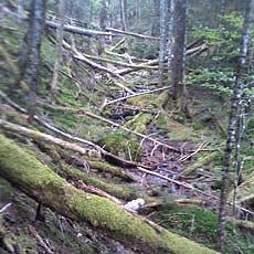 130706_p22.jpg