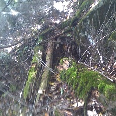 131006_p25.jpg