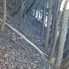 151025-02_p07.jpg