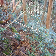 161015_p25.jpg