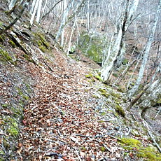 190302_p20.jpg