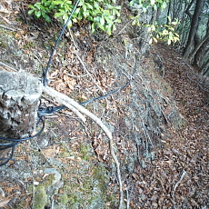 190323_p41.jpg