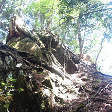 190614_p12.jpg