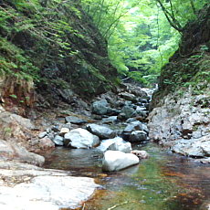 200605_p02.jpg