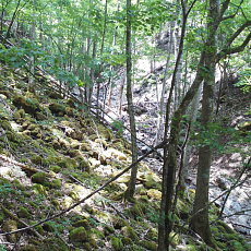 200605_p31.jpg