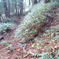 201004_p11.jpg