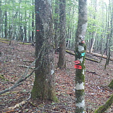 210522_p31.jpg