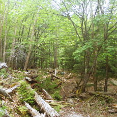 210612_p01.jpg