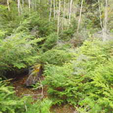 210930_p03.jpg