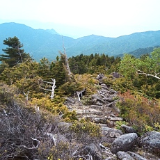 220618_p19.jpg