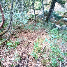 221028_p44.jpg