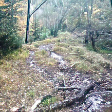 221014_p24.jpg