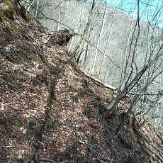 230414_p22.jpg