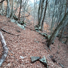 231123_p19.jpg