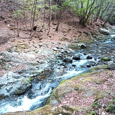 230502_p41.jpg