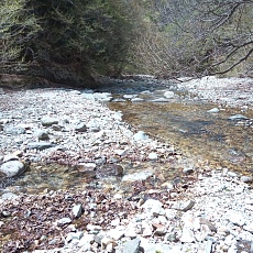 230502_p33.jpg