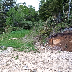 240612_p13.jpg