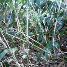 241112_p11.jpg