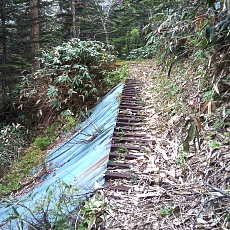 240612_p21.jpg