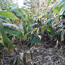240530_p24.jpg