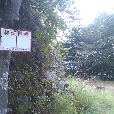 120909_n02.jpg