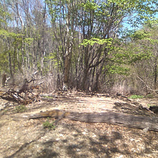 130517_p22.jpg