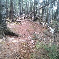 130606_p15.jpg