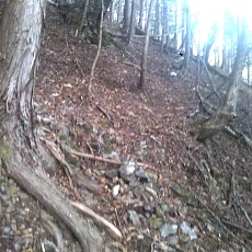 141011_p06.jpg