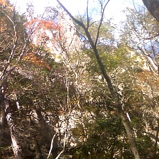 141103_p14.jpg