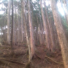 150430_p04.jpg