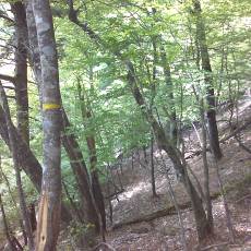 150523_p38.jpg