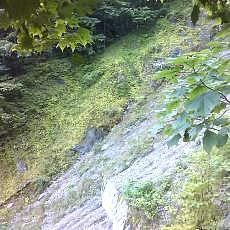 150905_p14.jpg