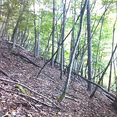 150920-01_p02.jpg