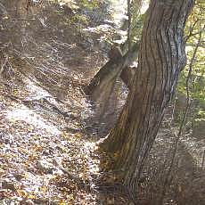 151025-01_p05.jpg