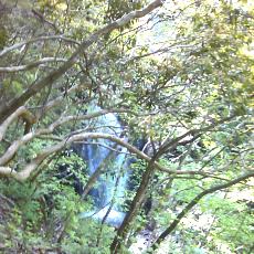 160603_p09.jpg