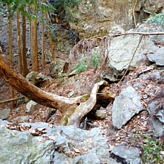 170203_p01.jpg