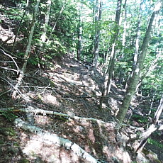 170617_p09.jpg