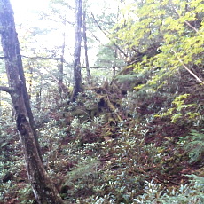 171008_p20.jpg