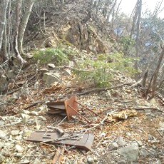 190323_p09.jpg