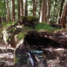 190922_p06.jpg